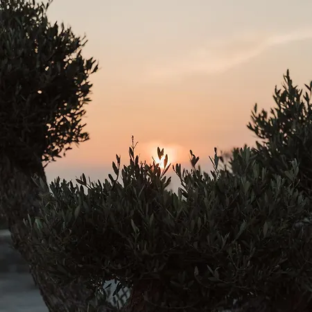 Mazera Boutique Hotel 4*