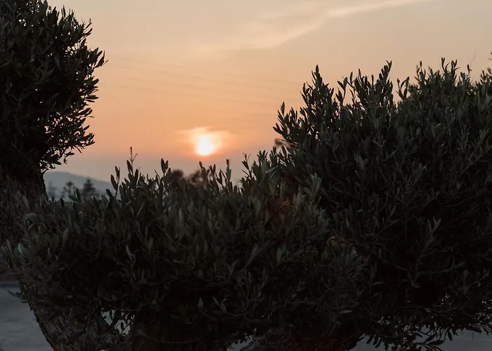 Mazera Boutique Szálloda Mykonos Town
